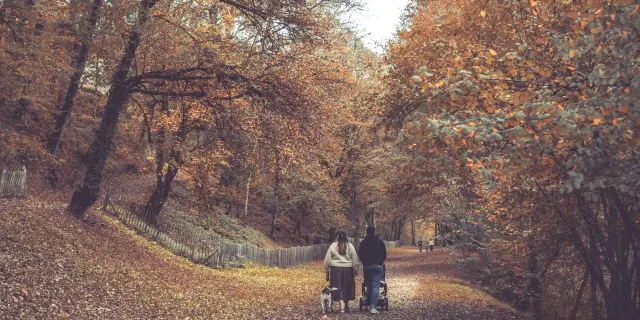 Automne 2022 Chalucet