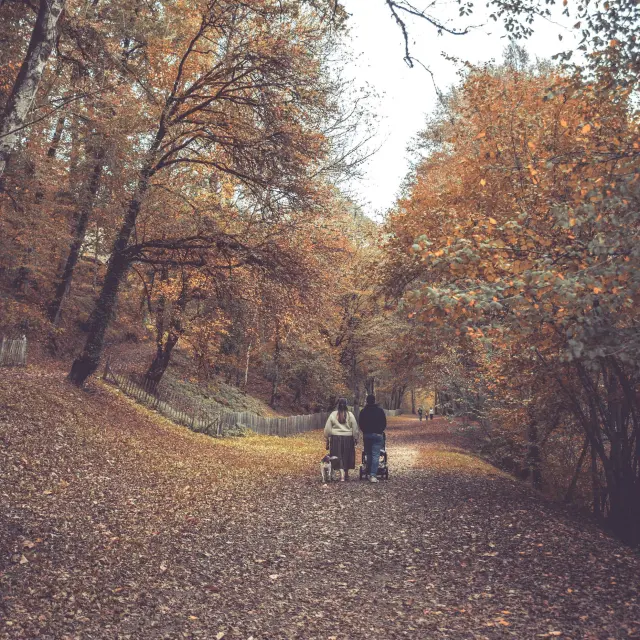 Automne 2022 Chalucet