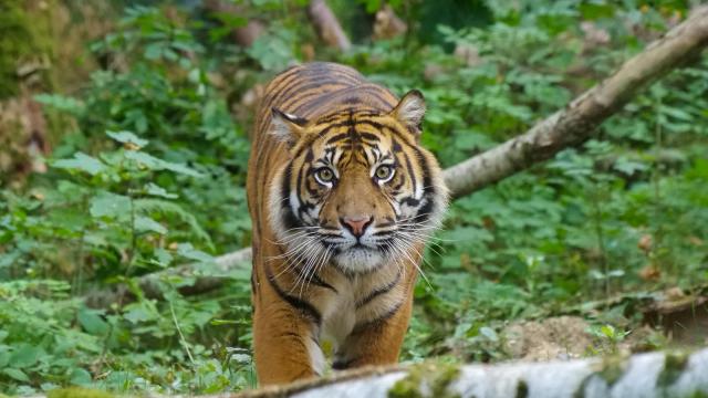 Zoo Parc du Reynou @reynou