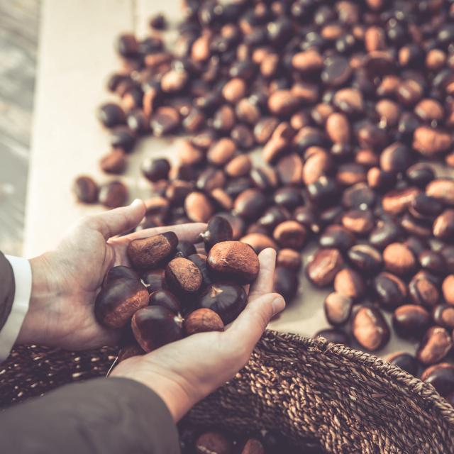 Automne 2022 Veyrinas43