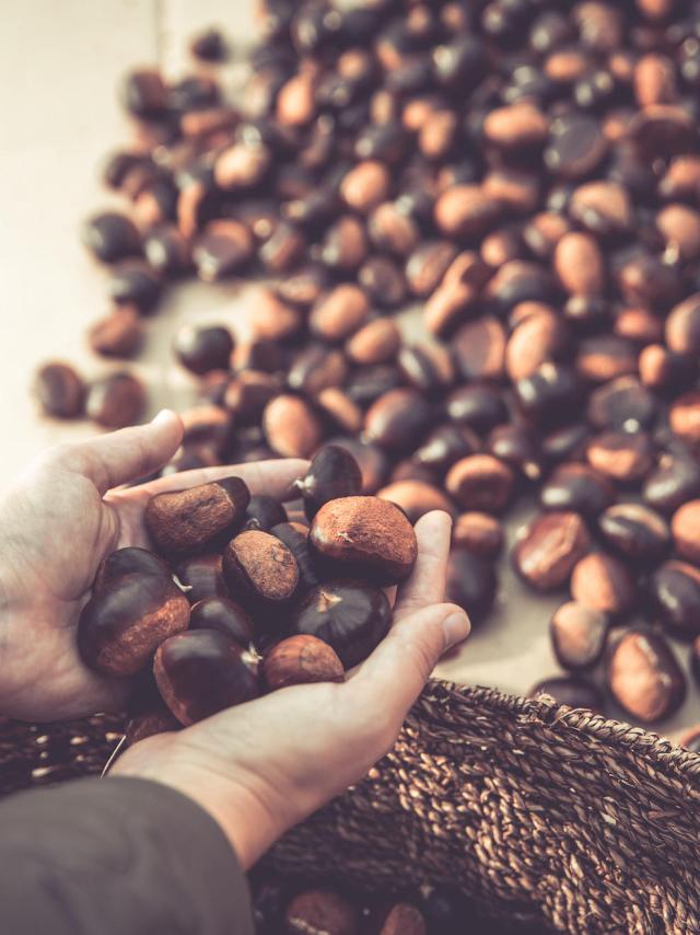 Automne 2022 Veyrinas43