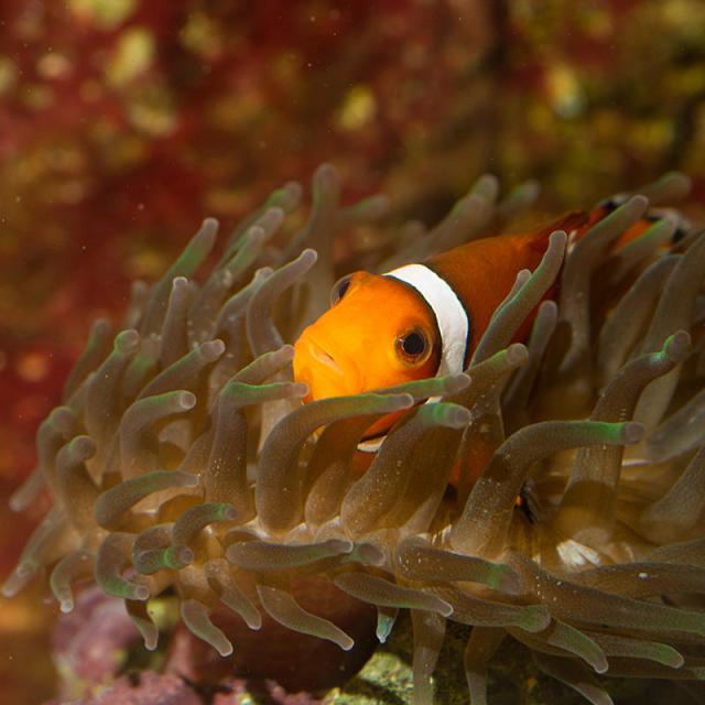 Aquarium du Limousin
