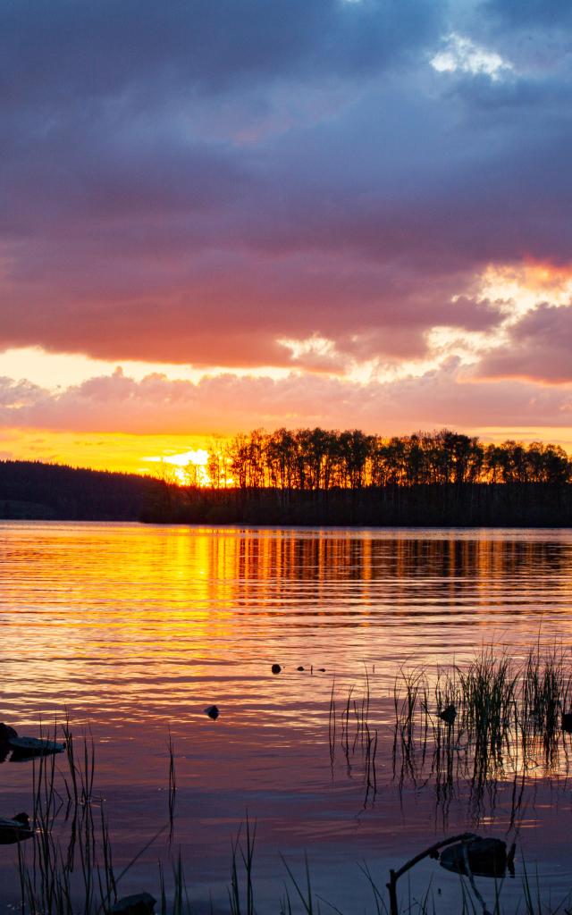 Paysage Sunset Lac Vassiviere©maxime Authier 2022 (18)