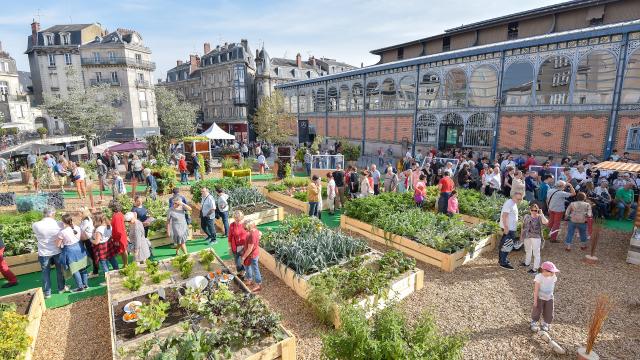 Toques Et Porcelaine