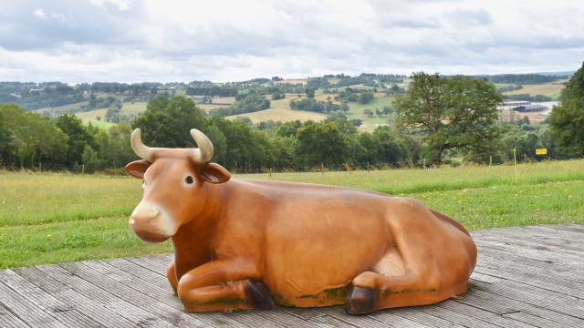 Limousine Park Vache