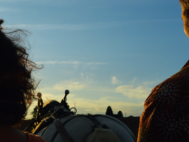 Balade En Caleche Saint Priest Ligoure