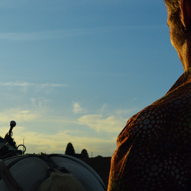Balade En Caleche Saint Priest Ligoure