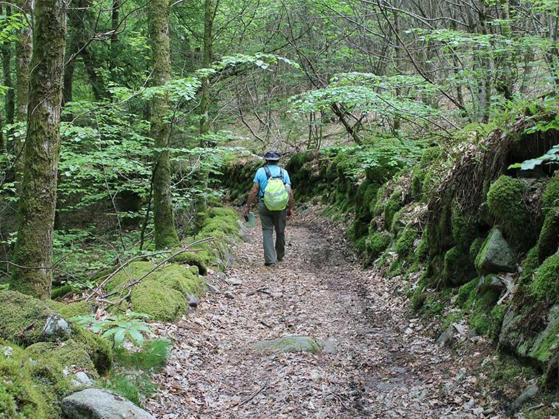 Top 10 des randonnées à faire en automne | Limousin – Nouveaux Horizons