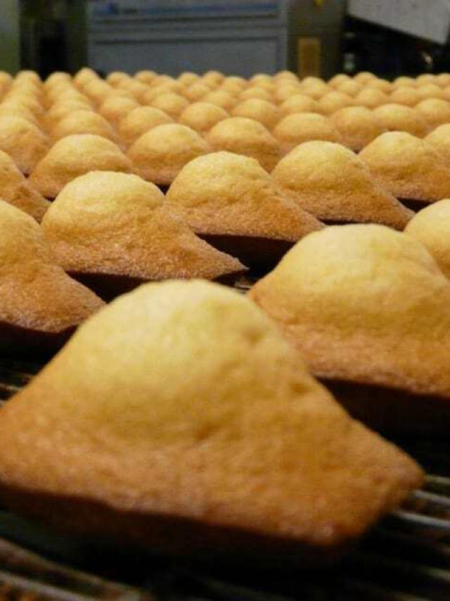 Madeleines Bijou Entreprise Et Decouverte 1
