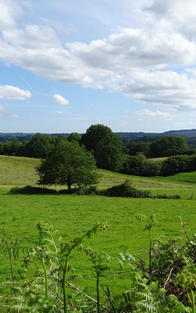 Randonnée du Prieuré de l'Artige à Saint Leonard de Noblat