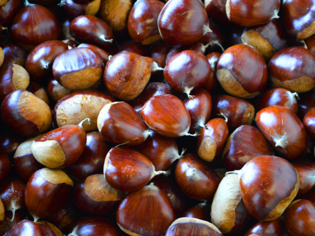 Atelier de la Châtaigne, à Dournazac