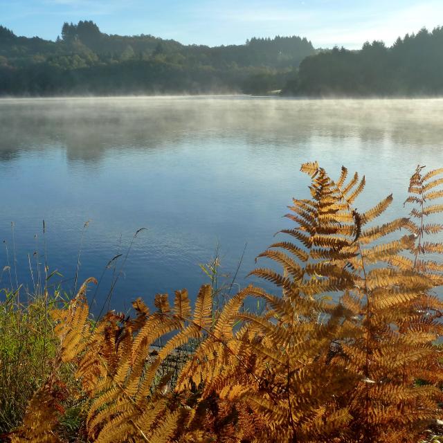 Lac Saint Pardoux Automne