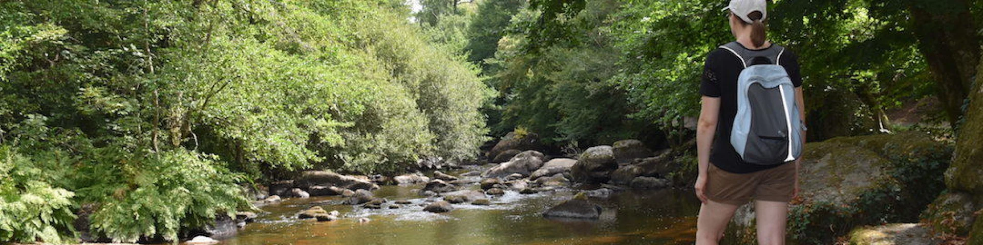 Sentier Des Feutrieres 2