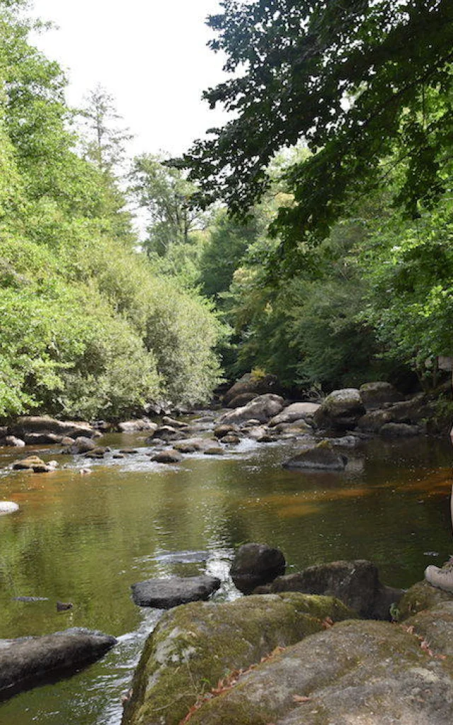 Sentier Des Feutrieres 2