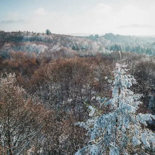 Winter in Haute Vienne