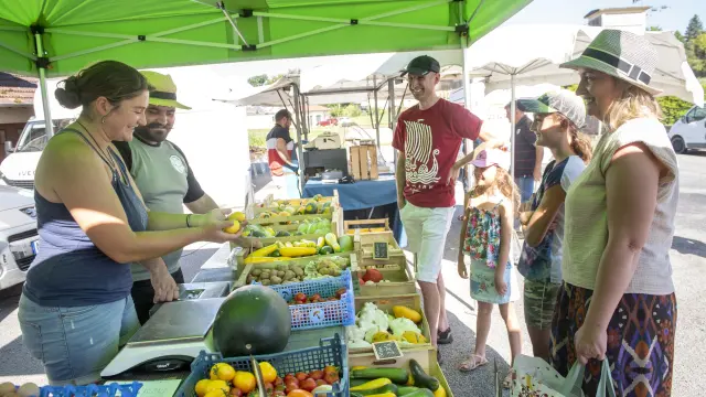 Maraîchers au Marché de Saint Genest Sur Roselle. Ce marché regroupe producteurs locaux, commerçants et animations, le dimanche matin à Saint Genest sur Roselle, Communauté de Communes Briance Sud Haute Vienne, Haute Vienne, France.  Août 2023.