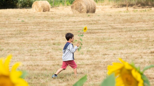 Departement Haute Vienne 87 Ferme Fardissou 2022 Maxime Authier 37