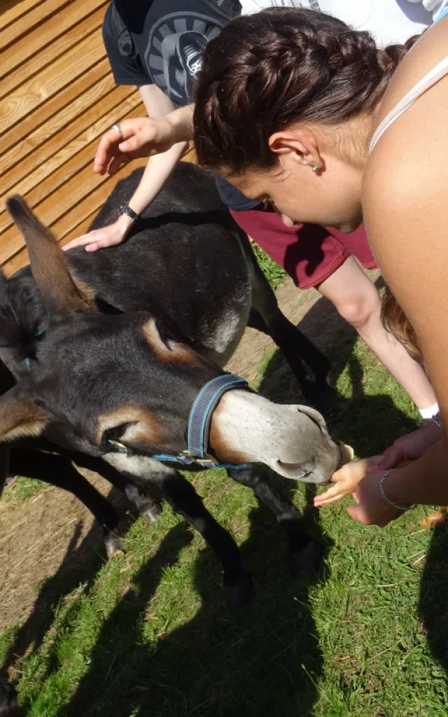 Ferme Les P'tites mains pour Demain - St-Auvent