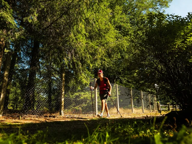 Randonnez Vous Lac De Saint Pardoux