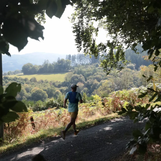 Alefpa Trail Edition 2024