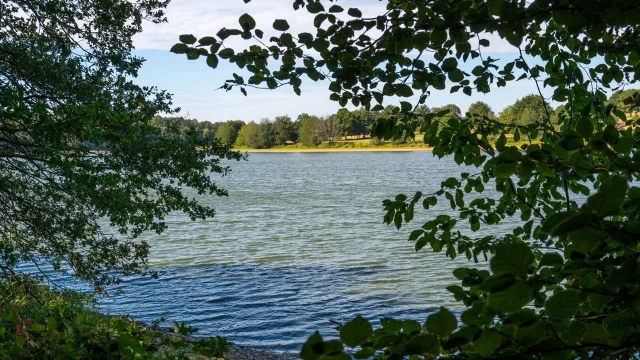 Etang De La Pouge Credit Jcdupuy Departement De La Haute Vienne Web