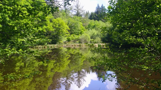 Etang De Lancien Moulin De Lourtaud Champnetery