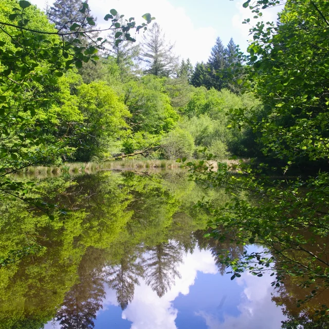 Etang De Lancien Moulin De Lourtaud Champnetery