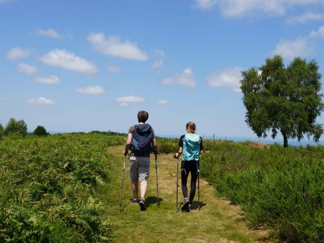 Randonneur Au Mont Gargan