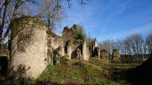 Chateau De Lavauguyon 2