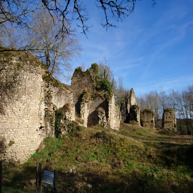 Chateau De Lavauguyon 2