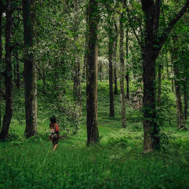 Randonnee En Haute Vienne