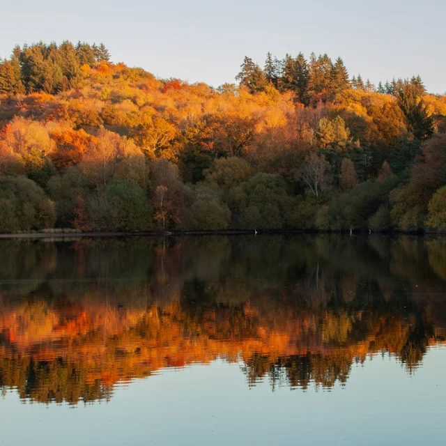 Randonnée en automne en Limousin