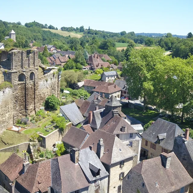 Vue aérienne castrum de Ségur Le Château