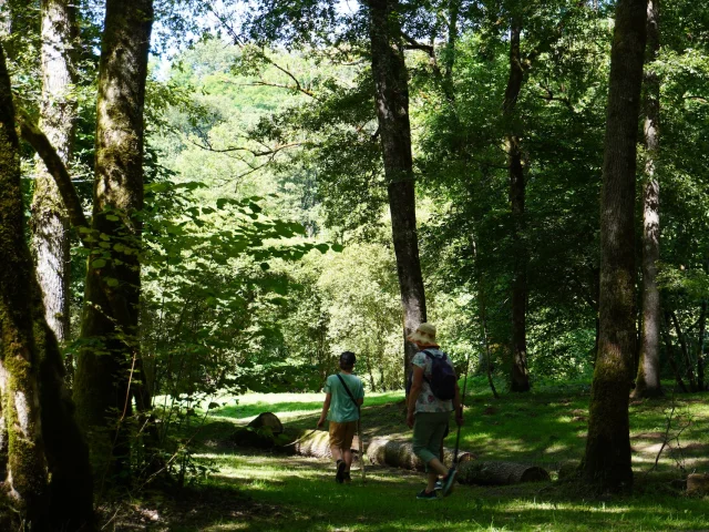 Foret Ligoure Chalucet