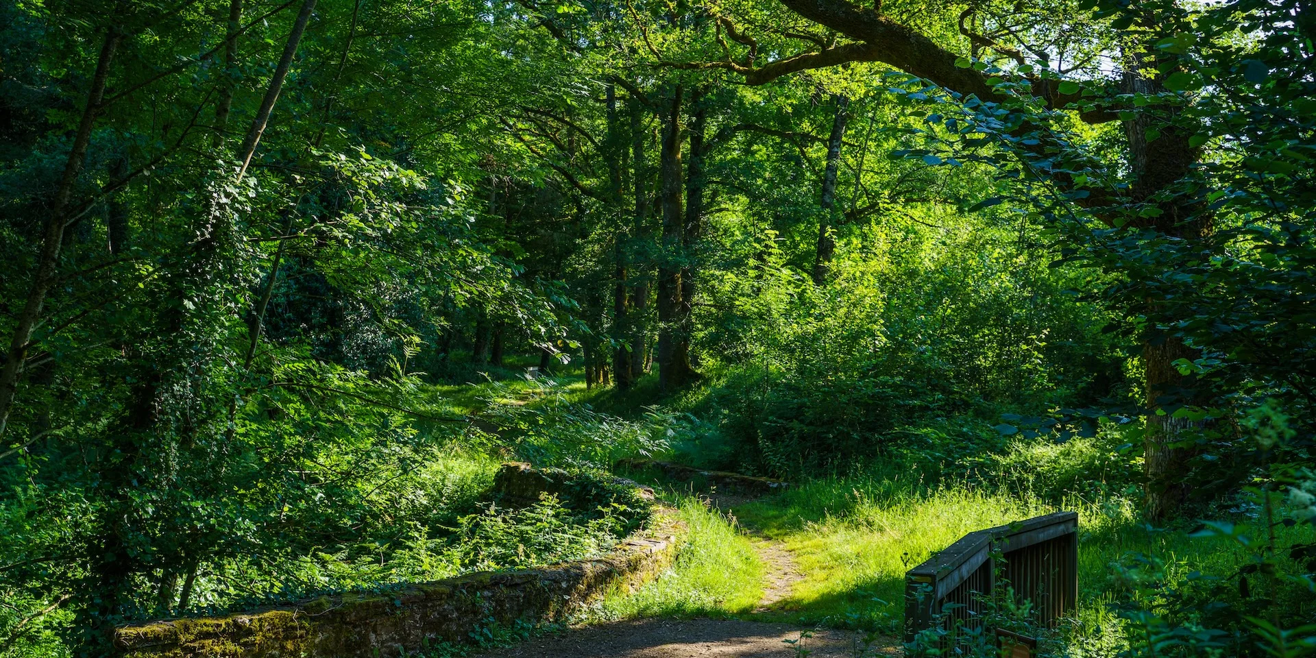 Domaine De Ligoure En Limousin