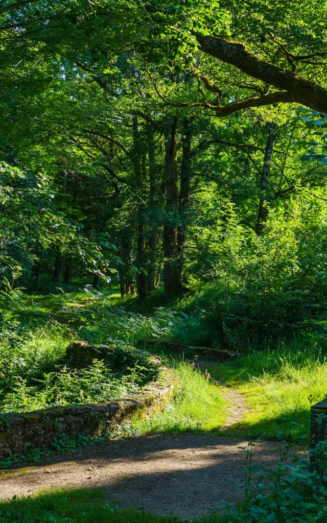 Domaine De Ligoure En Limousin