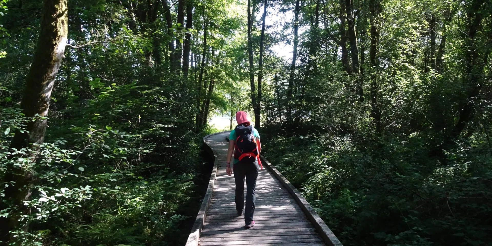 Hike on the Plateau De Millevaches and Lac De Vassiviere with Lappli Rando Millevaches on your smartphone
