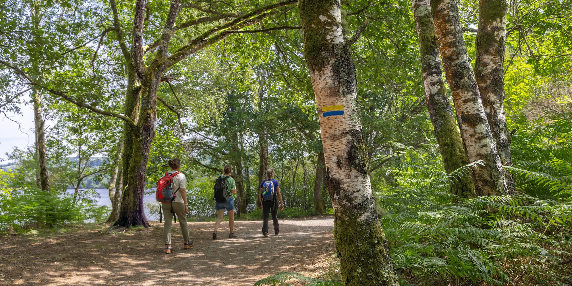 Hiking Trail Route Caminata