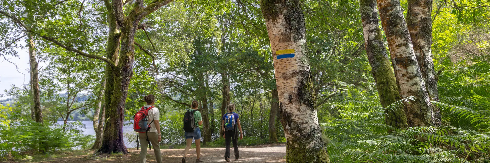 Sentier De Randonnee Itineraire Caminata