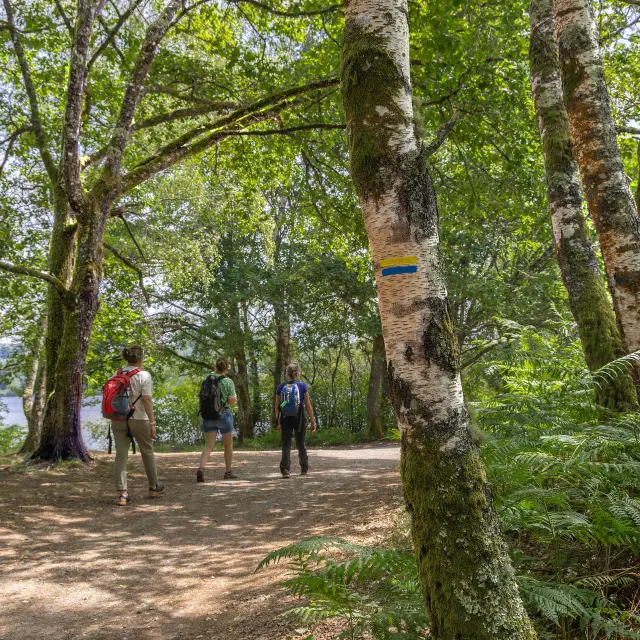 Sentier De Randonnee Itineraire Caminata
