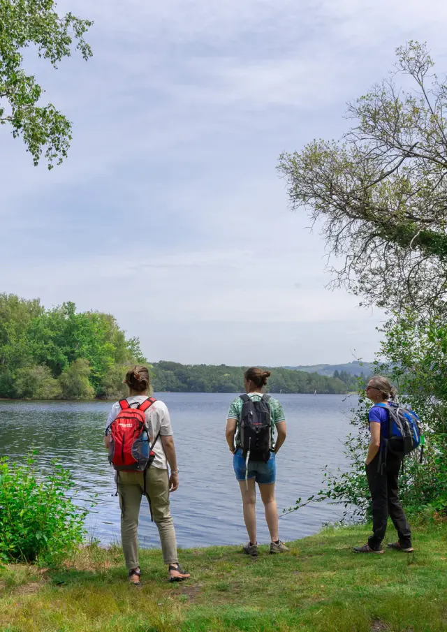 Randonnee Au Bord De Leau En Limousin
