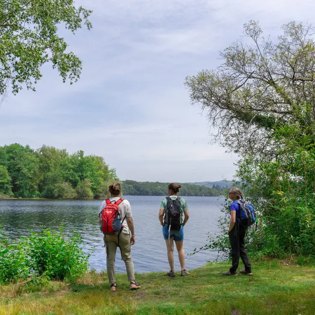 Randonnee Au Bord De Leau En Limousin