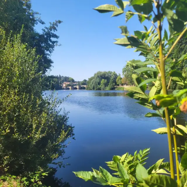 Instagram #hautevienne