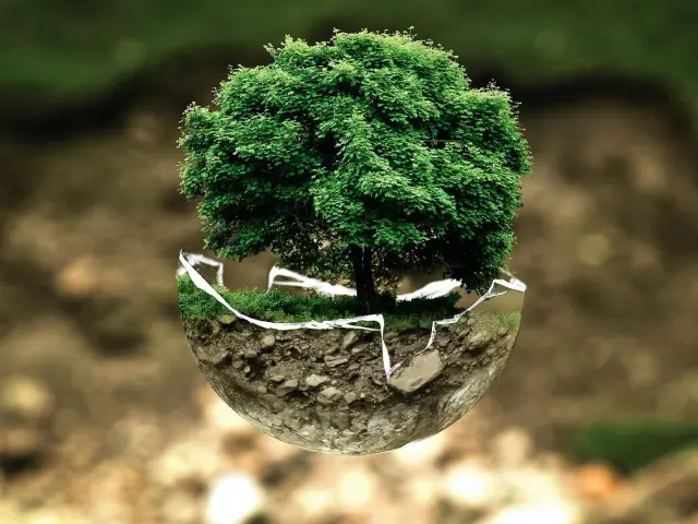 Calculate and offset my carbon footprint for an eco-friendly holiday in Limousin