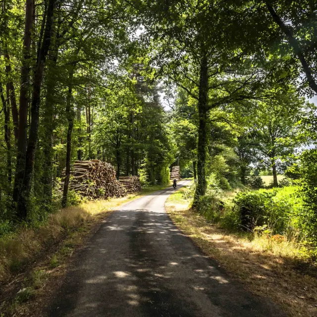 Permatrek Vacances A La Ferme En Limousinjpg