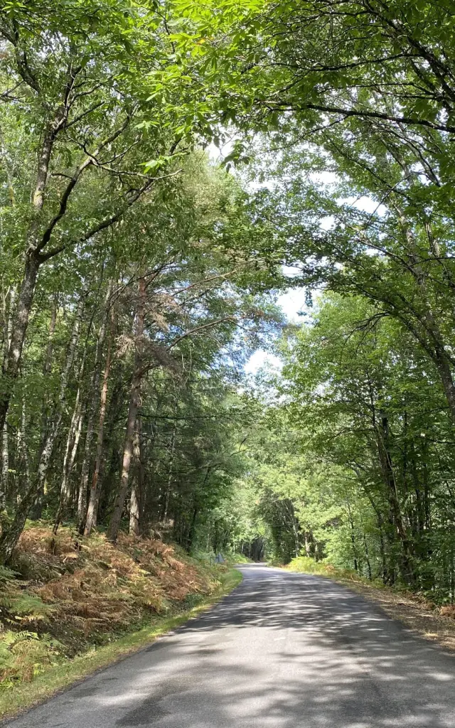 Short Routes on the Richard the Lionheart Loop in Limousin